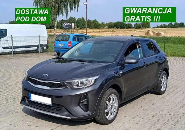 Kia Stonic cena 63900 przebieg: 35000, rok produkcji 2019 z Suchań małe 79